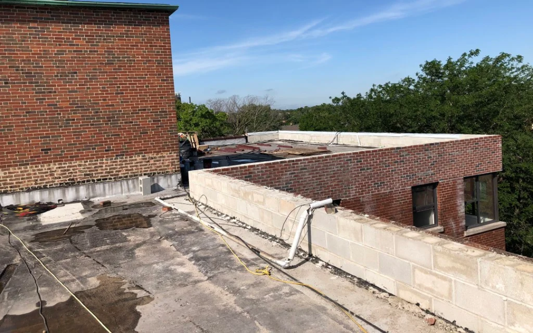 Why Flat Roofs and Parapet Walls Are the Perfect Architectural Match